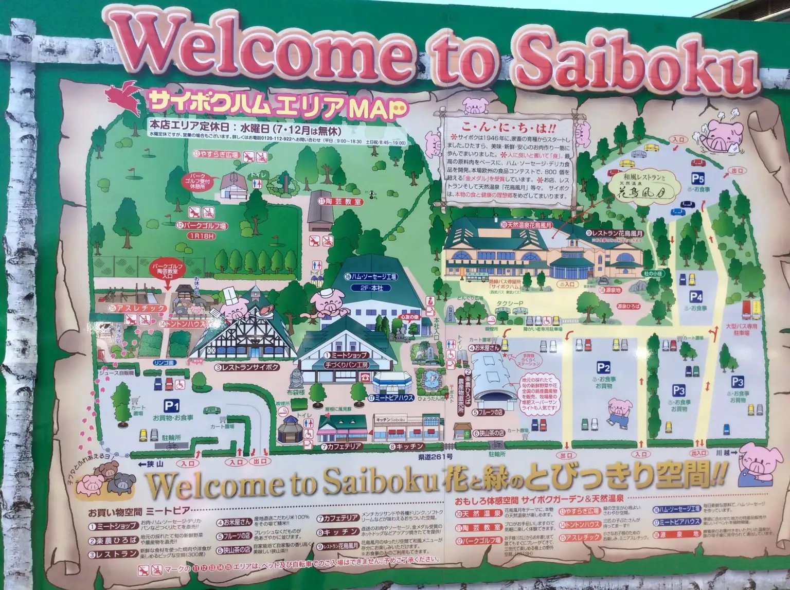 🐷 돼지 테마파크 사이보쿠 이미지 10